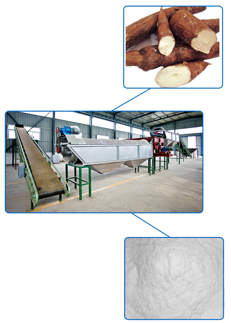 transformation-de-fecule-de-manioc-ou-une-usine-de-fecule-de-manioc