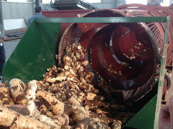 Équipement de production d'amidon de manioc entièrement automatique et technologie de transformation de l'amidon de manioc 