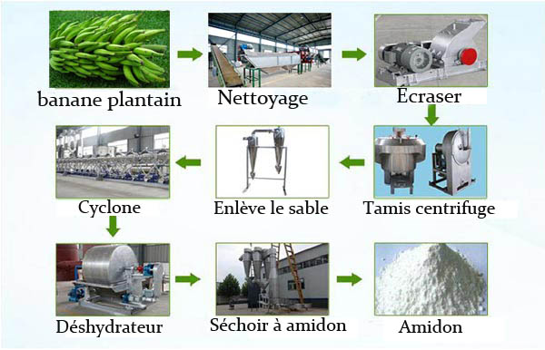 processus d'amidon de plantain