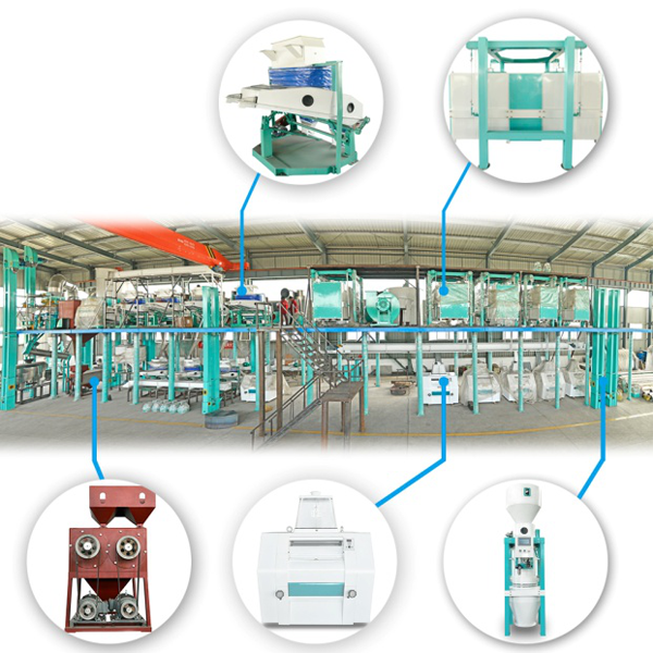 ligne de traitement de la farine de maïs