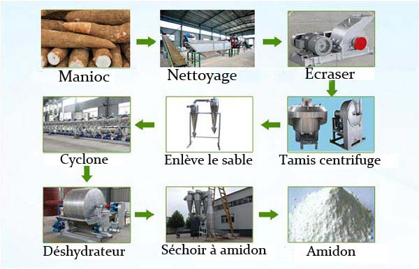 Transformation de l'amidon de tapioca