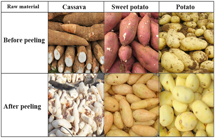 Machine-de-traitement-de-la-farine-de-manioc-liste-de-prix-des-machines-à-farine-de-manioc-usine-de-transformation-de-l'amidon-de-manioc