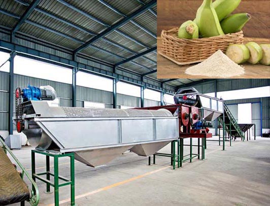 transformation de la banane plantain en machine à farine